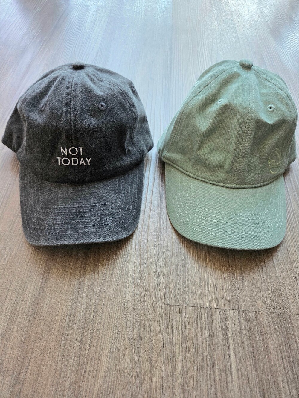 Lot of 2 NWOT Caps: Arey Not Today Charcoal Gray & Biossance Sage Green Dad Hats
